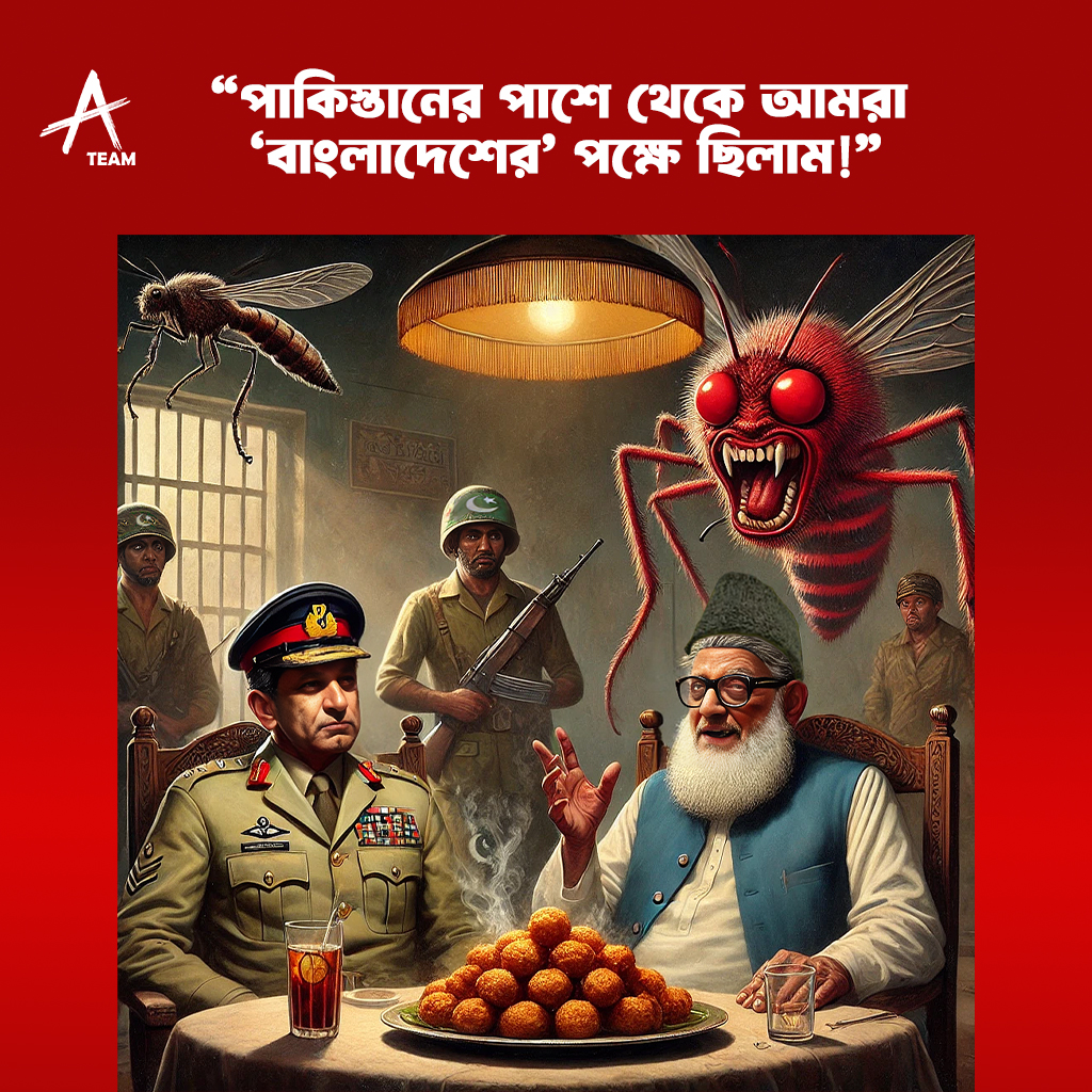 “পাকিস্তানের পাশে থেকে আমরা ‘বাংলাদেশের’ পক্ষে ছিলাম!”